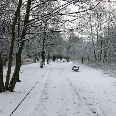 Nina Lejlighed Gdańsk